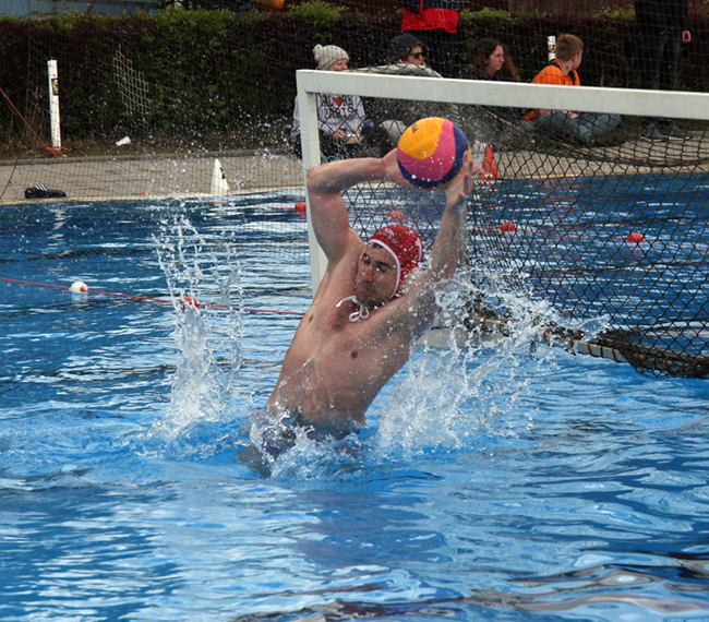 ic_large_w900h600q100_kachel-wasserball